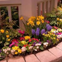 DIY flower beds and flower beds