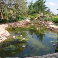 Decorative pond for a summer residence, photo of artificial ponds