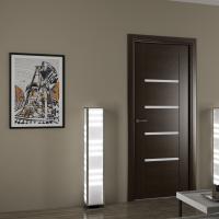 Which interior doors are best to choose: expert advice