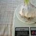 How to grow large garlic in the garden