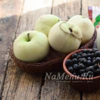 A simple recipe for making chokeberry jam with apples Chokeberry recipes for making jam with apples